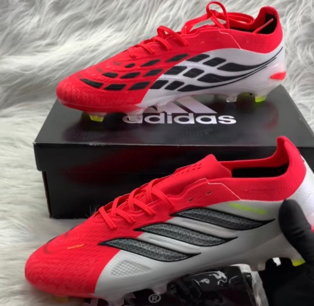 Adidas Predator